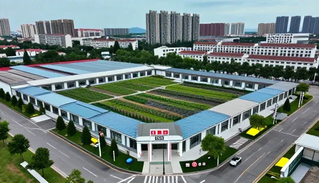 企业发展中的适配方案：关键环节与维护策略